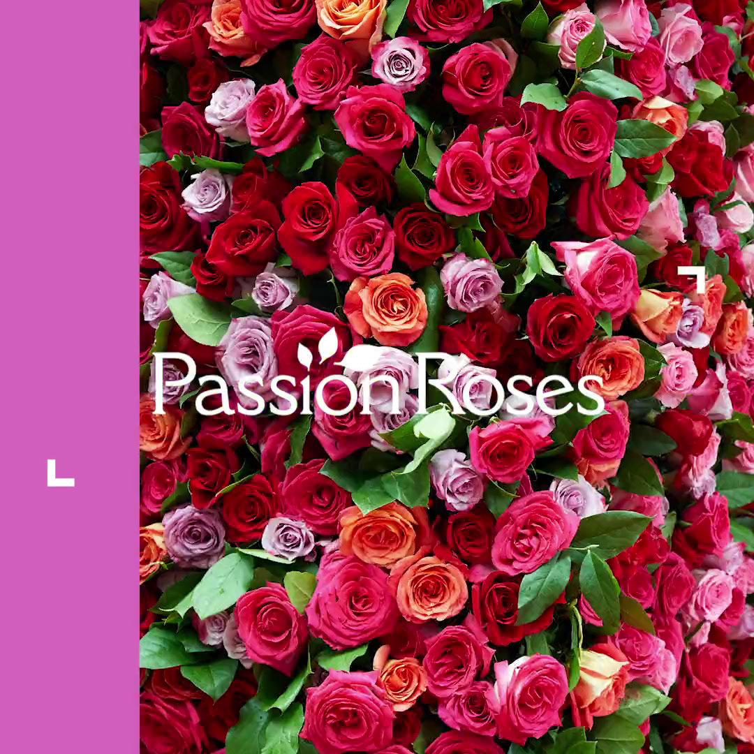 PassionRoses - Tony Awards 2018 - 06.10.18