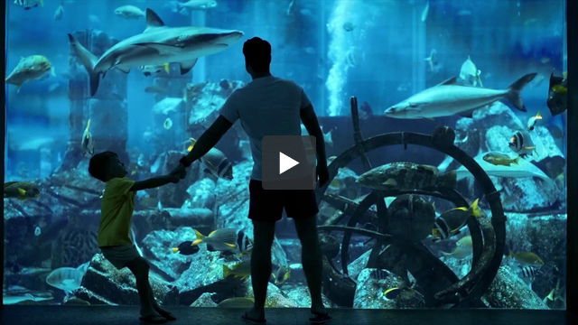 Atlantis, The Palm- Aquaman Partnership