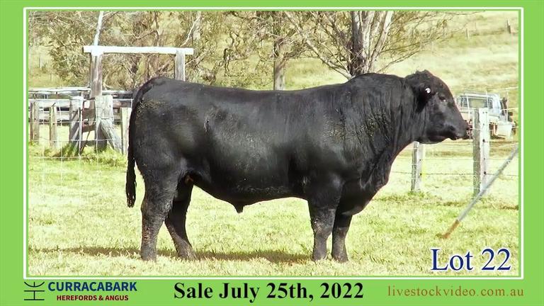 Lot 22 Curracabark 2022
