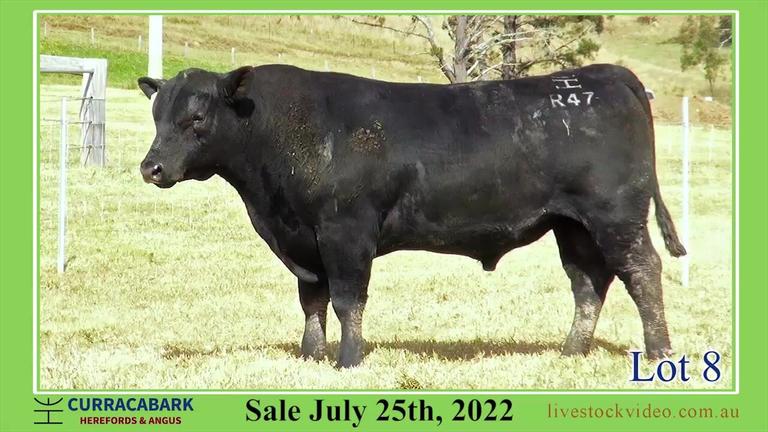 Lot 8 Curracabark 2022