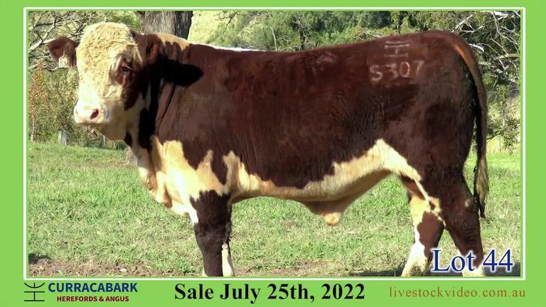 Lot 44 Curracabark 2022