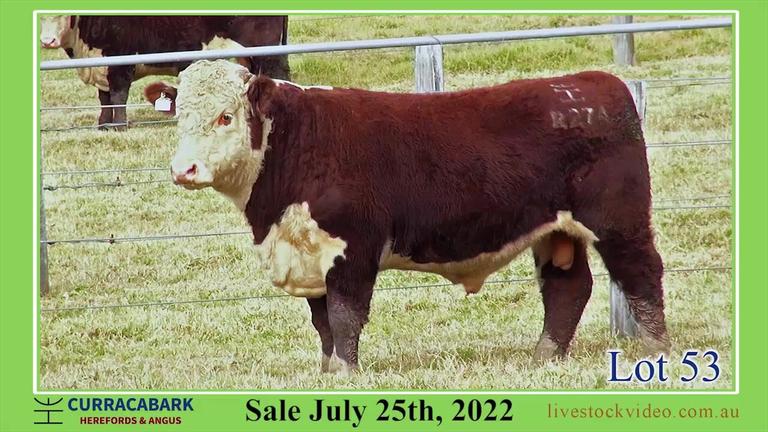 Lot 53 Curracabark 2022