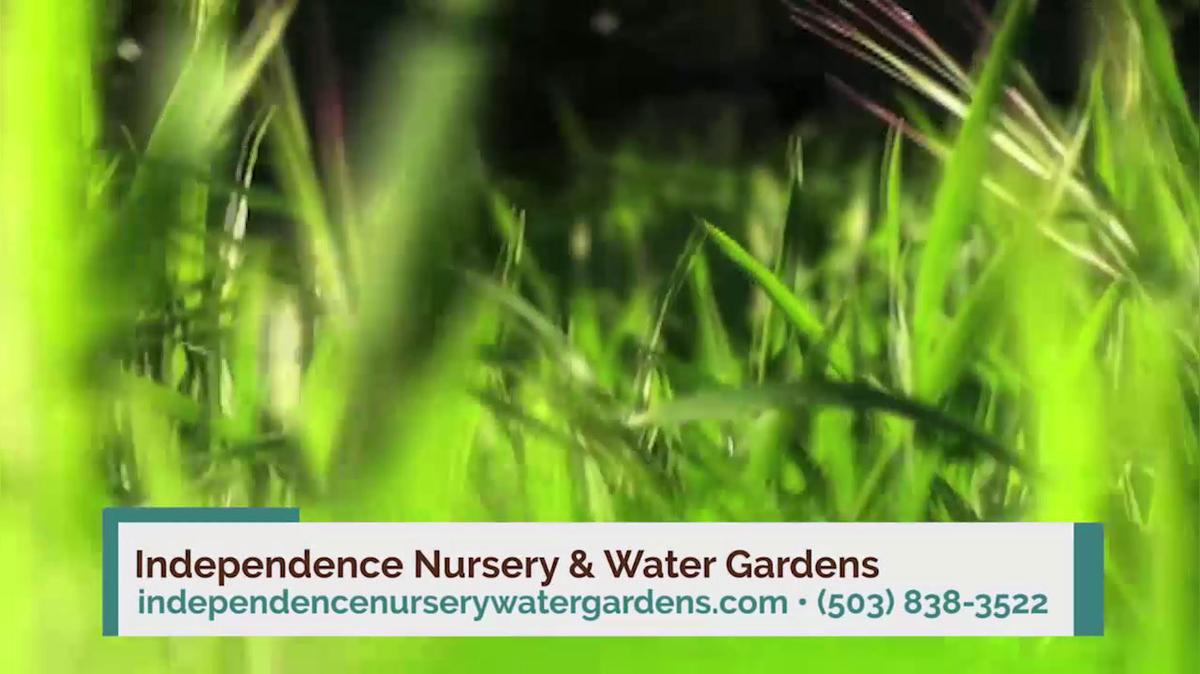 Garden Supplies in Independence OR, Independence Nursery &amp; Water Gardens