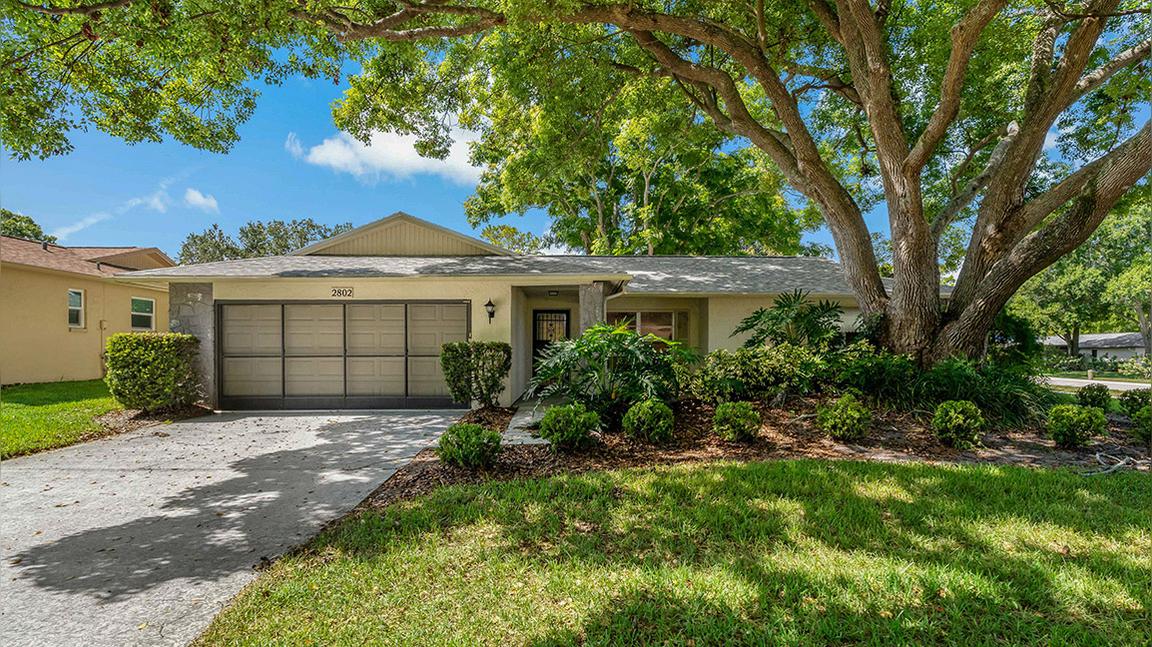 2802 Cameron Court, Palm Harbor FL