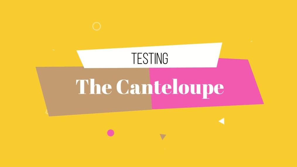 Testing the Canteloupe