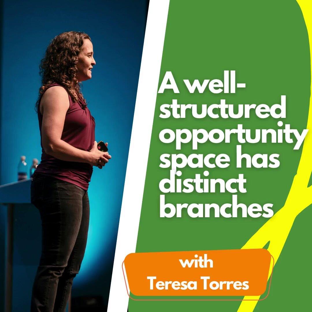 A well-structured opportunity space has distinct branches