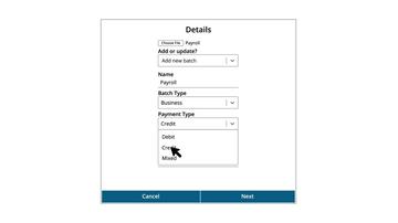 Batch Payee List: Import a Delimited File