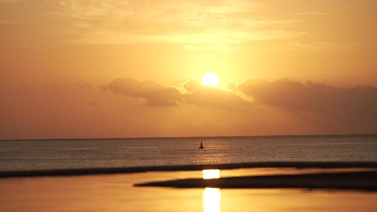 Zinzino Director Trip 2023 Mexico