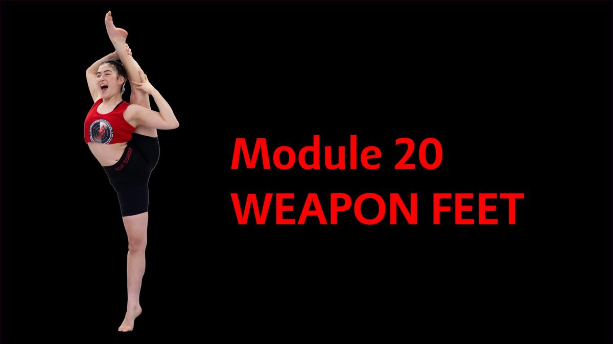 Module 20 Weapon Feet