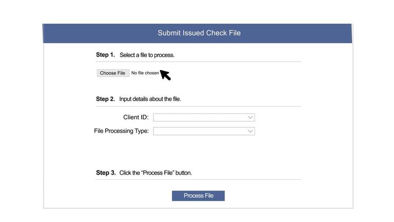 Submit New Issued Check File