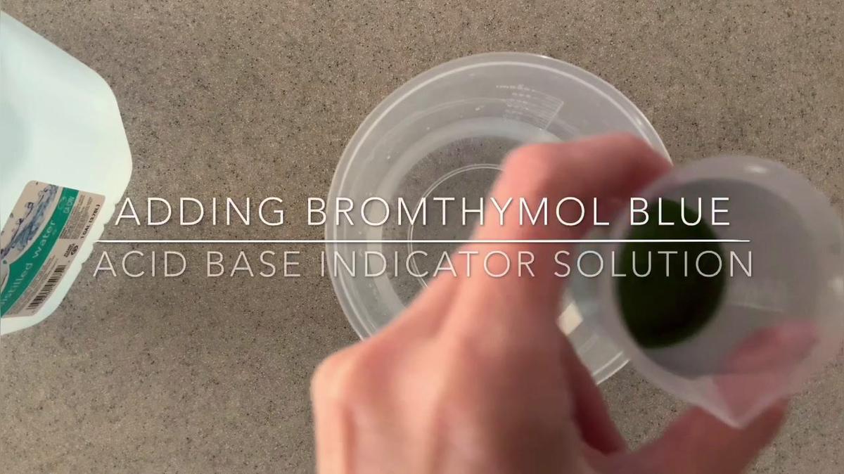 Exercise and Cellular Respiration