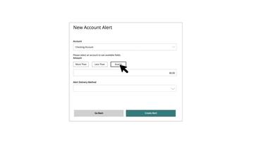 Account Alerts
