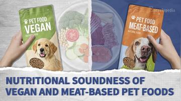 Nutritional Soundness of Vegan and Meat-based Pet Foods