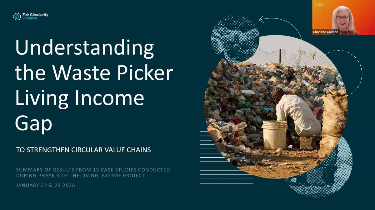 Understanding the Waste Picker Living Income Gap to Strengthen Circular Value Chains