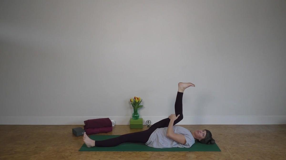 Hip Support