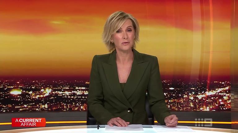 Secret government baboon facility in Australian suburb under scrutiny | A Current Affair