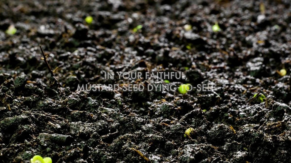 DE - DUB - Benediction - V202310.mp4