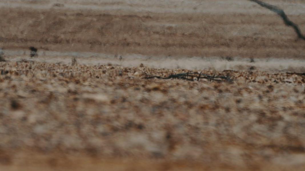 Heatwaves on desert floor