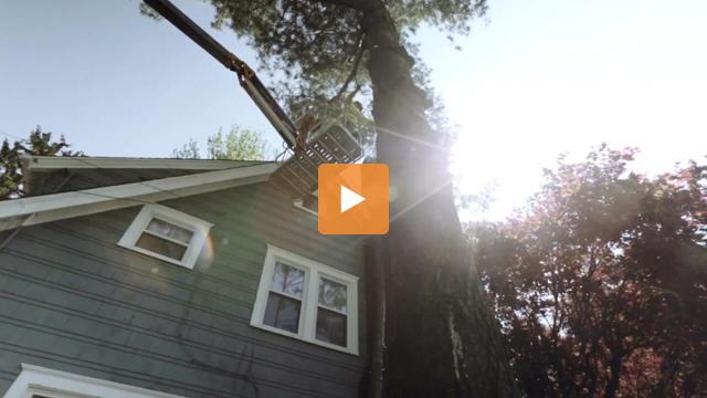 Land Pro Landscaping & Tree Service