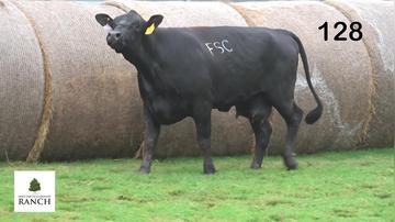 Lot 128 L294