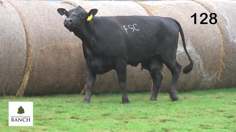 Lot 128 L294