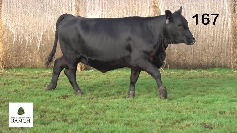 Lot 167 M306