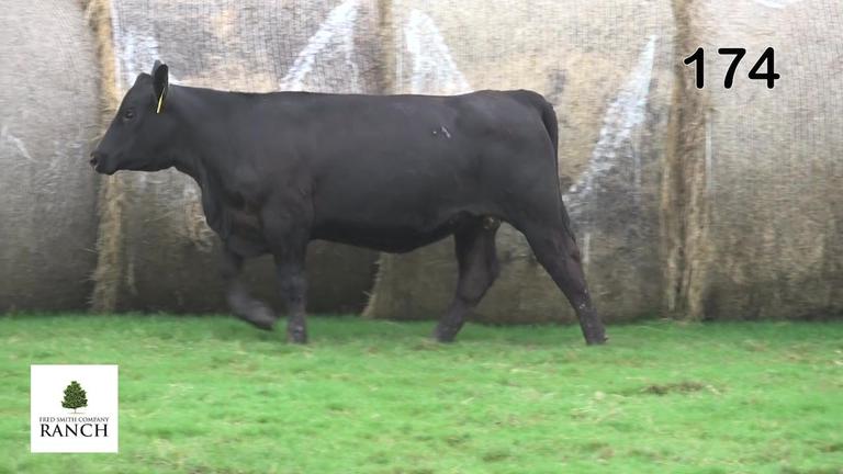 Lot 174 M316