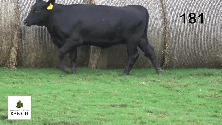 Lot 181 M320