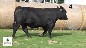 Lot 4 M022