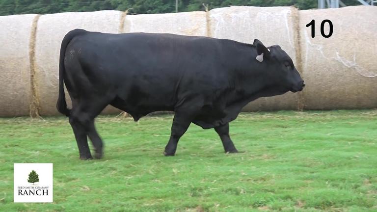Lot 10 M136