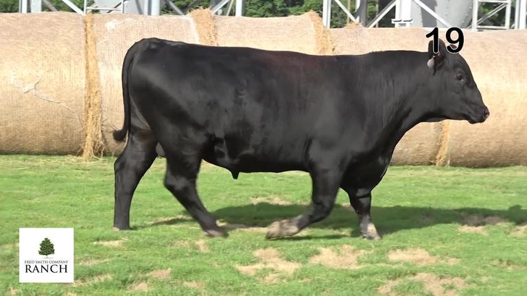 Lot 19 M073
