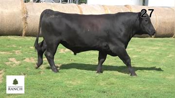 Lot 27 M172