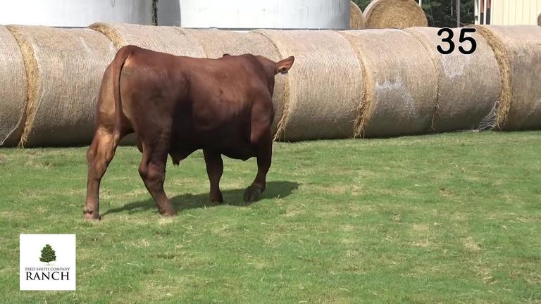Lot 35 M046