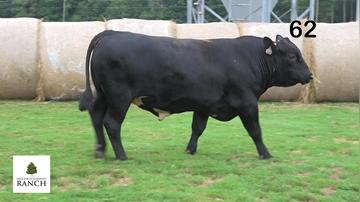 Lot 62 M008