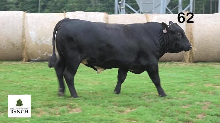 Lot 62 M008