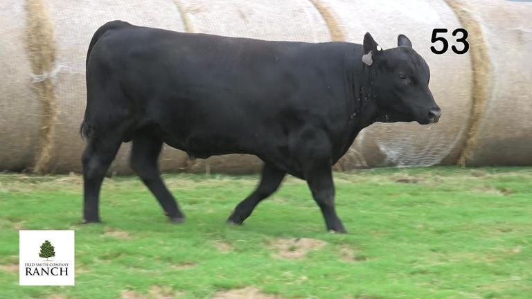 Lot 53 M038