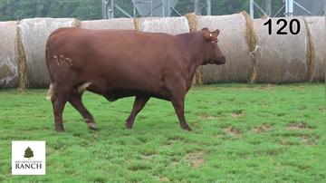 Lot 120 489J
