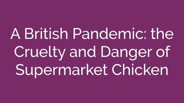 Supermarket Chicken and Pandemics