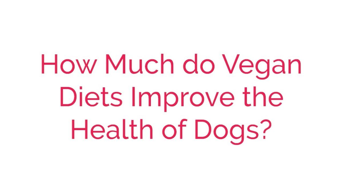 How Much do Vegan Diets Improve the Health of Dogs?