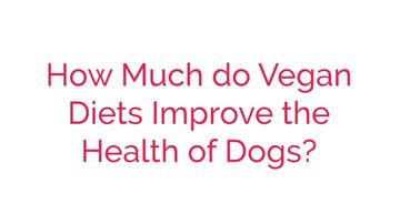 How Much do Vegan Diets Improve the Health of Dogs?