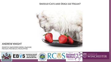 Should cats and dogs go vegan? With Andrew Knight