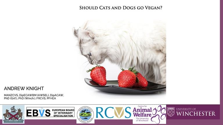 Should cats and dogs go vegan? With Andrew Knight