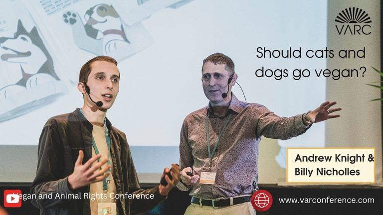 Should cats and dogs go vegan - VARC 2025