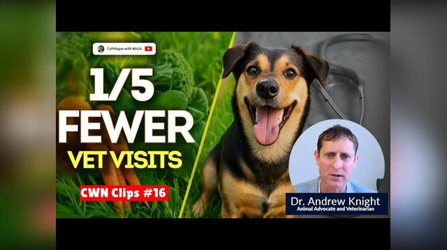 Vegan Dog Study Reveals Shocking Findings ? | Dr. Andrew Knight | CWN Clips
