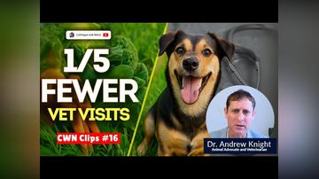Vegan Dog Study Reveals Shocking Findings ? | Dr. Andrew Knight | CWN Clips