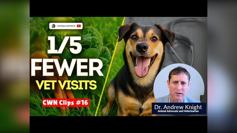Vegan Dog Study Reveals Shocking Findings ? | Dr. Andrew Knight | CWN Clips
