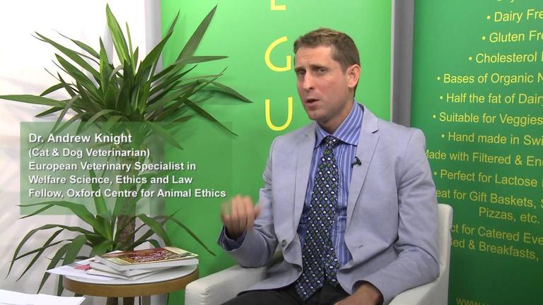 Are there health risks associated with vegetarian diets for cats and dogs?