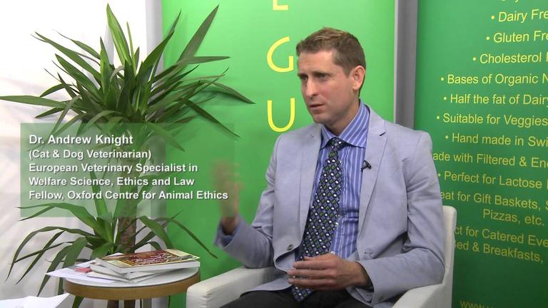 Has there been a rise in diseases like cancers in cats and dogs over the past 20-30 years?