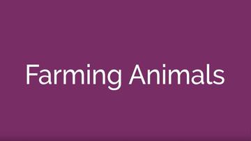 Farming Animals