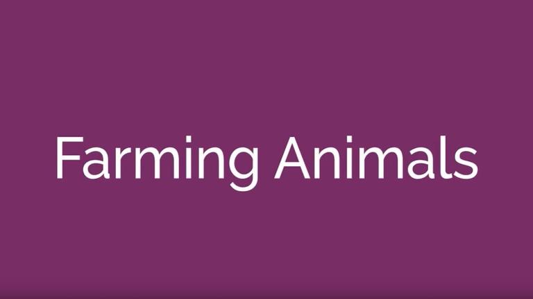 Farming Animals